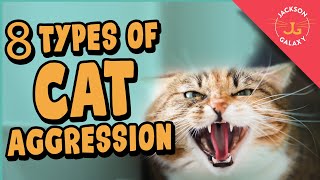 8 Types of Cat Aggression Explained [upl. by Ilarrold232]