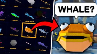 IMPOSSIBLE Guess The FISH CHALLENGE Fisch [upl. by Bernetta501]