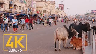 Everyday Life of Puri  4K Travel Film  Incredible India  Cities of the World [upl. by Debby606]