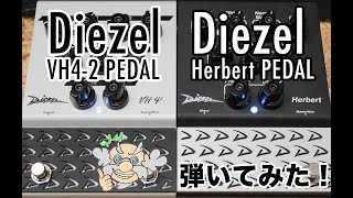 Diezel VH42 PEDAL vs Diezel Herbert PEDAL [upl. by Skier]