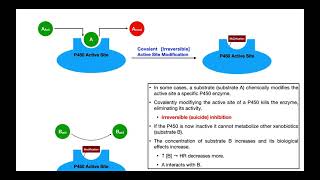 Basics of Drug Interactions EXPLAINED  Inhibition amp Induction [upl. by Nevaj998]