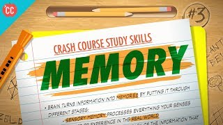 Memory Crash Course Study Skills 3 [upl. by Yssej620]