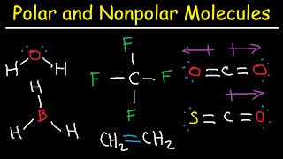 Polar and NonPolar Molecules How To Tell If a Molecule is Polar or Nonpolar [upl. by Lacram872]