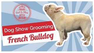 Dog Show Grooming How To Groom a French Bulldog [upl. by Charlot]