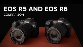 Canon EOS R5 vs EOS R6  Comparison Review [upl. by Maryellen904]