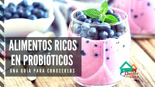 Alimentos que contienen probióticos [upl. by Otilrac]