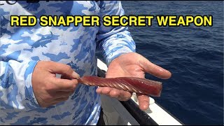 Red Snapper Secret Weapon BEST BAIT [upl. by Malvia]