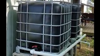 DIY Rainwater Harvesting amp Collection System [upl. by Linzer]