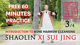 Introduction to Xi Sui Jing 34 💮 DAILY 60 Minute Practice 💮 [upl. by Eceinej]