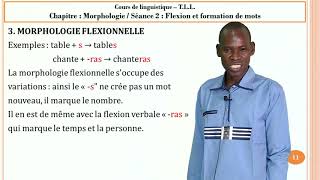 La Morphologie  Flexion et formation de mots 4  TLL [upl. by Naltiac]