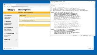 Ansys Licensing Managing Activations [upl. by Yancey]