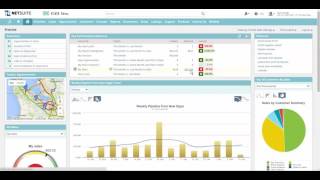 NetSuite Sales Rep Dashboard Demo [upl. by Aubry223]