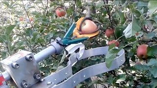 Automatic fruit picker demonstration by FF Robotics  IFTA 2017 [upl. by Alyam]