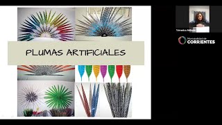 Elaboración de Plumas Artificiales  IFCAM [upl. by Saticilef]