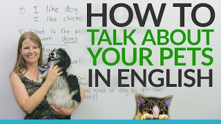 Real English Talking about pets and animals [upl. by Bonita]