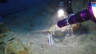 Skeletal remains found at ancient shipwreck site [upl. by Severn111]