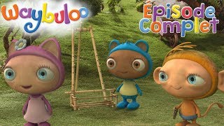 Waybuloo  La Danse   🧘 ÉPISODE COMPLET 🌳 ZeeKay Junior Français [upl. by Nike234]