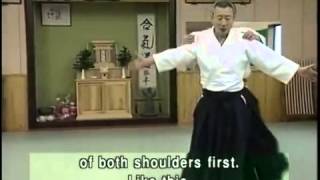 Shohei Juku Aikido  Suganuma Sensei Part 2 [upl. by Ailecra556]