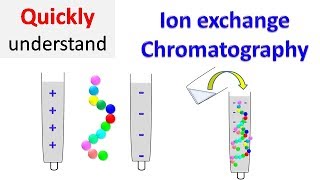 Ion exchange chromatography [upl. by Rola853]