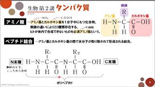 【高校生物】第2講「タンパク質」 [upl. by Nnyliram]