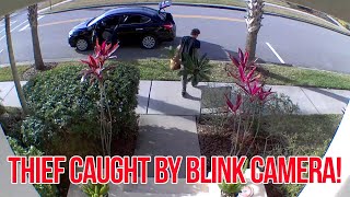 Blink Outdoor Camera UPDATED Review [upl. by Carlile999]