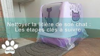 4 astuces pour nettoyer la litière de son chat  Assur OPoil [upl. by Eisdnyl]