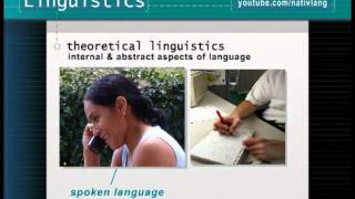 What is linguistics How do linguists study language  Linguistics 101 [upl. by Haberman898]