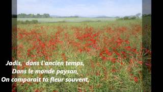 Les Coquelicots [upl. by Brodie]