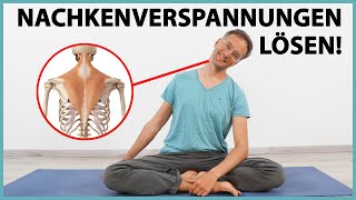 Nackenverspannungen lösen für IMMER 2 TOP Übungen  Anatomie [upl. by Leund872]