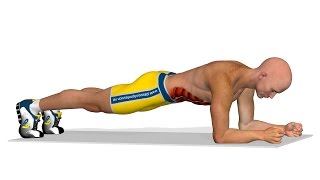 Exercitii abdomen Plank [upl. by Maison]