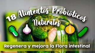 18 ALIMENTOS PROBIÓTICOS naturales  Regenera y mejora la Flora intestinal [upl. by Anoval892]