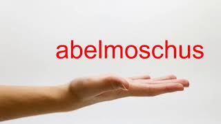 How to Pronounce abelmoschus  American English [upl. by Civ]