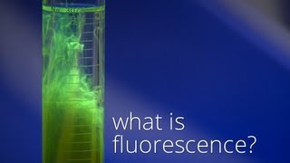 Solubilisation de la fluorescéine [upl. by Drof]