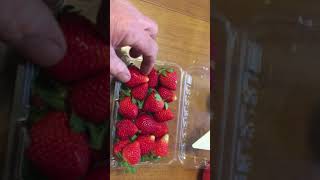 How to ripen strawberries [upl. by Melliw]