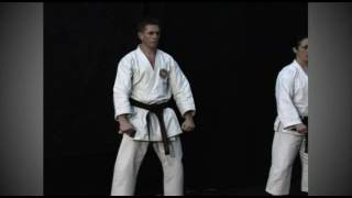 shotokan 8 basic techniques [upl. by Erhard458]