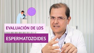 Evaluación de los espermatozoides [upl. by Nyrret]