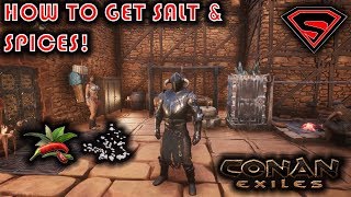 CONAN EXILES HOW TO GET SPICES AND SALT [upl. by Anirtruc254]