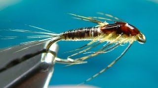 Tying a Small MayFly Nymph by Davie McPhail [upl. by Accemahs]