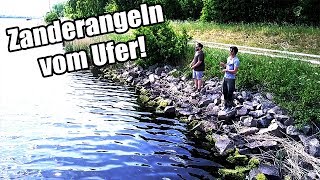 Zander angeln vom Ufer  3 Tipps für MEHR Zander [upl. by Oriel]