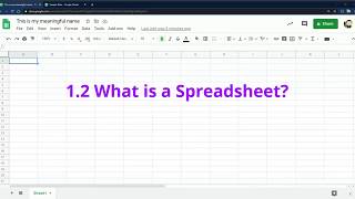 12 What is a Spreadsheet [upl. by Leumel]