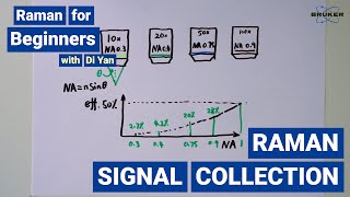 Numerical Aperture  Raman for Beginners  Raman Signal Collection [upl. by Arivle434]