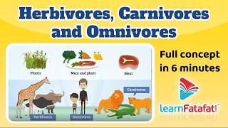 Herbivores Carnivores and Omnivores  Class 6 chapter 1 Food Where Does it Comes From Learnfatafat [upl. by Adnim]