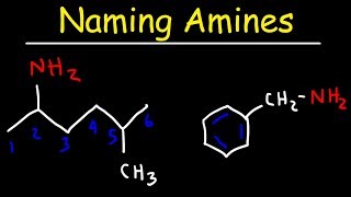 Naming Amines  IUPAC Nomenclature amp Common Names [upl. by Markowitz]