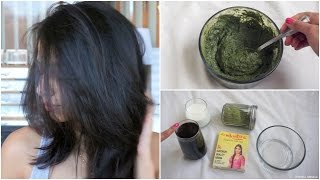 How to Apply Henna to hair at Home [upl. by Leuams]