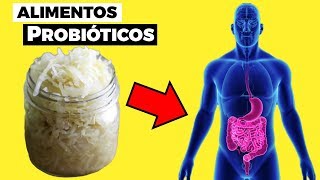 11 ALIMENTOS PROBIÓTICOS para tener una flora intestinal e intestino saludable [upl. by Asselam]