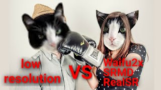 Upscaler Comparison  Waifu2x vs SRMD vs RealSR [upl. by Alius]