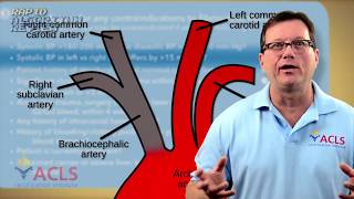 Fibrinolytic Therapy Checklist [upl. by Arrimat449]