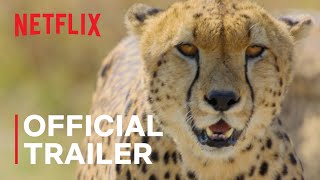 Animal  Official Trailer  Netflix [upl. by Edasalof]