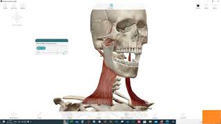 Human Anatomy Atlas For Pc [upl. by Kristianson]