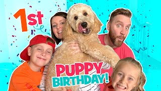 Theo is turning 1 Puppys Birthday VLOG  KCity Family [upl. by Nrek]